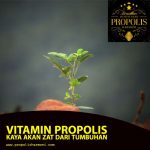 Vitamin Propolis Kaya Akan Zat dari Tumbuhan